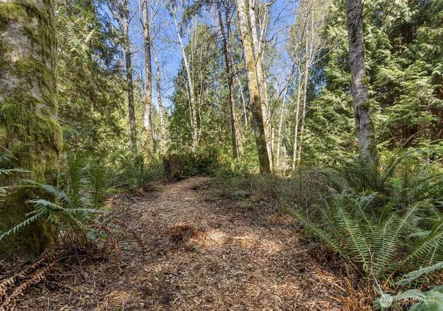 Photo 3 of Land for sale at 37060 Madrona Blvd NE, Hansville, WA 98340 | MLS# NWM2504947 | Listing updated on 2026-09-21
