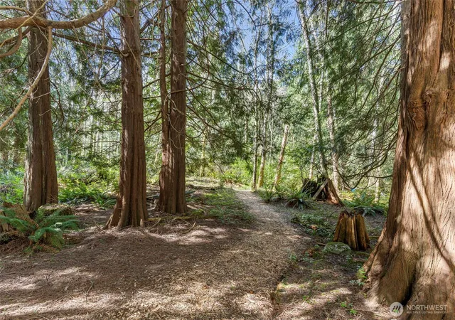 Photo 4 of Land for sale at 37060 Madrona Blvd NE, Hansville, WA 98340 | MLS# NWM2504947 | Listing updated on 2026-09-21