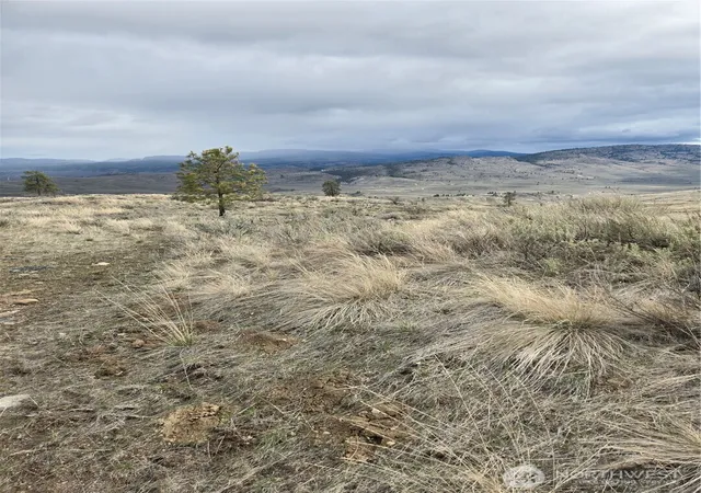 Photo 2 of Land for sale at 0 Tbd Twin Springs Rd, Tonasket, WA 98855 | MLS# NWM2505050 | Listing updated on 2026-09-30