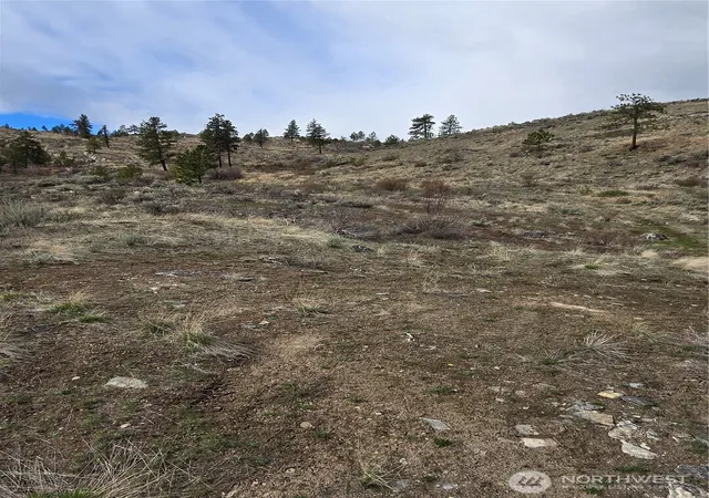 Photo 3 of Land for sale at 0 Tbd Twin Springs Rd, Tonasket, WA 98855 | MLS# NWM2505050 | Listing updated on 2026-09-30