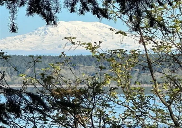 Photo 1 of Land for sale at 10911 Seaview Dr, Anderson Island, WA 98303 | MLS# NWM2505139 | Listing updated on 2026-09-21