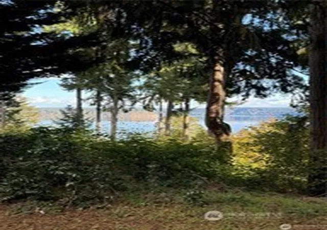 Photo 3 of Land for sale at 10911 Seaview Dr, Anderson Island, WA 98303 | MLS# NWM2505139 | Listing updated on 2026-09-21