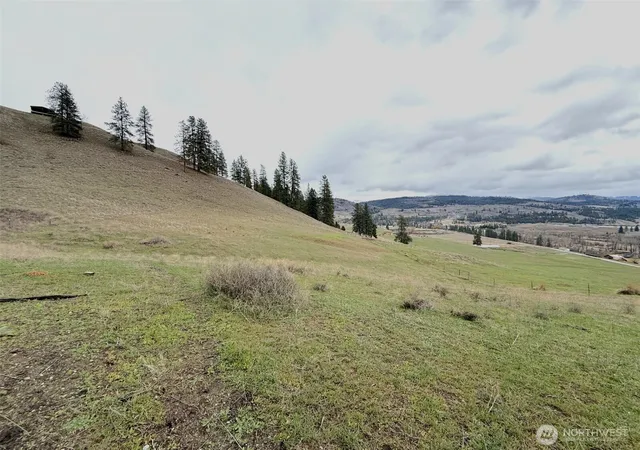 Photo 2 of Single family home for sale at 0 Tbd Cottonwood Crk Rd, Curlew, WA 99118 | MLS# NWM2505176 | Listing updated on 2026-09-21