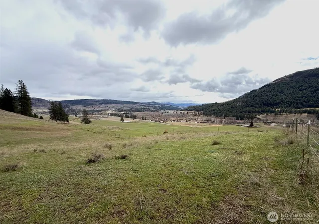 Photo 3 of Single family home for sale at 0 Tbd Cottonwood Crk Rd, Curlew, WA 99118 | MLS# NWM2505176 | Listing updated on 2026-09-21