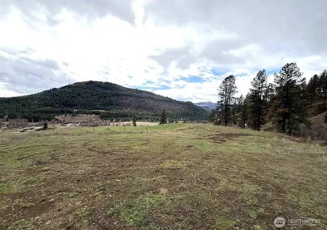 Photo 3 of Single family home for sale at 0 Tbd Cottonwood Crk Rd, Curlew, WA 99118 | MLS# NWM2505176 | Listing updated on 2026-09-21