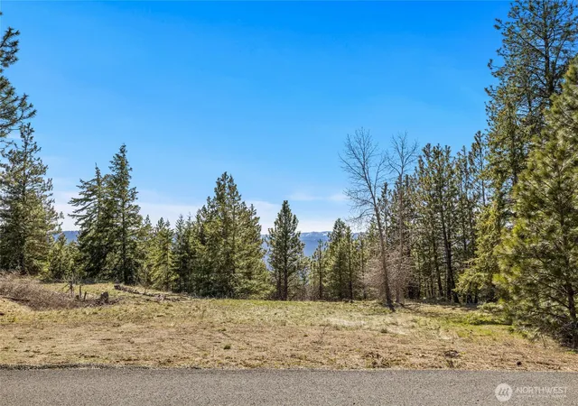 Photo 1 of Land for sale at 80 Forest Ridge (lot 80) Dr, Cle Elum, WA 98922 | MLS# NWM2505218 | Listing updated on 2026-09-21