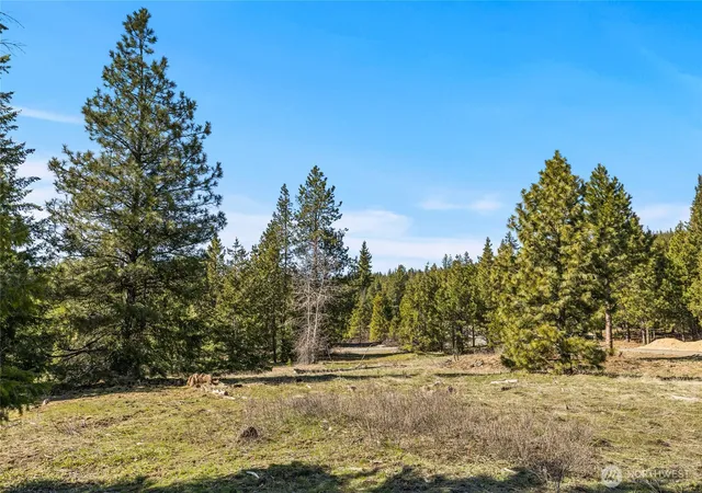 Photo 4 of Land for sale at 80 Forest Ridge (lot 80) Dr, Cle Elum, WA 98922 | MLS# NWM2505218 | Listing updated on 2026-09-21