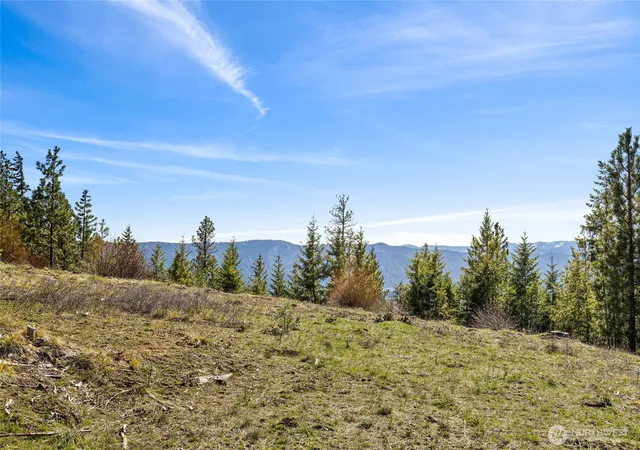 Photo 3 of Land for sale at 81 Forest Ridge (lot 81) Dr, Cle Elum, WA 98922 | MLS# NWM2505230 | Listing updated on 2026-09-21