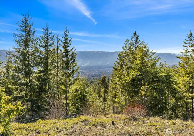 Photo 3 of Land for sale at 81 Forest Ridge (lot 81) Dr, Cle Elum, WA 98922 | MLS# NWM2505230 | Listing updated on 2026-09-21