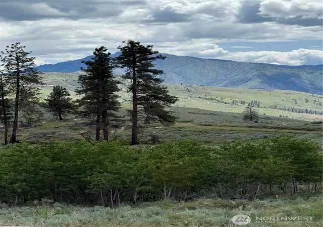 Land for sale at 3 Ruttin Ridge Rd, Methow, WA 98834 | MLS# NWM2505387