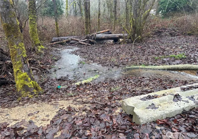 Photo 3 of Land for sale at 5214 Lerch Rd, Snohomish, WA 98290 | MLS# NWM2505414 | Listing updated on 2026-09-21