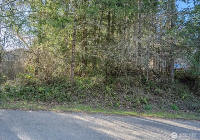 Photo 1 of Land for sale at 22025 Blue Water Dr Se, Yelm, WA 98597 | MLS# NWM2505462 | Listing updated on 2026-09-21
