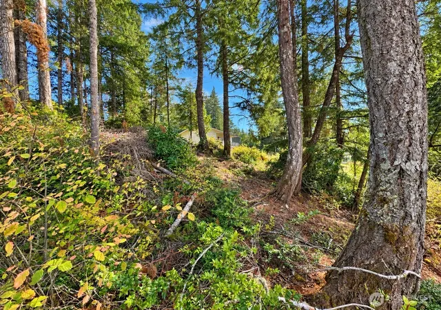 Photo 3 of Land for sale at 90 E Lakeview Dr, Grapeview, WA 98546 | MLS# NWM2505550 | Listing updated on 2026-09-28