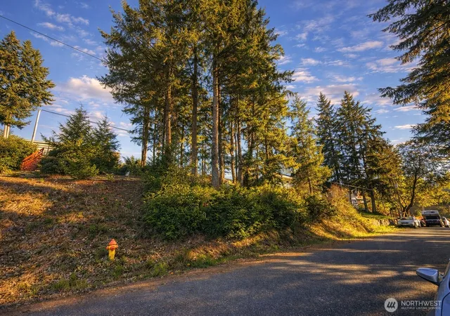 Photo 3 of Land for sale at 90 E Lakeview Dr, Grapeview, WA 98546 | MLS# NWM2505550 | Listing updated on 2026-09-28