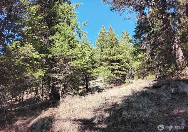 Photo 1 of Land for sale at 44 Trapline Loop Rd, Oroville, WA 98844 | MLS# NWM2505686 | Listing updated on 2026-09-21