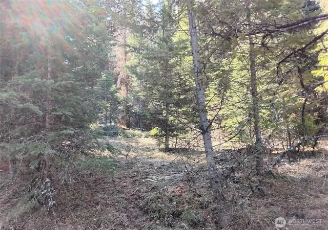 Photo 2 of Land for sale at 44 Trapline Loop Rd, Oroville, WA 98844 | MLS# NWM2505686 | Listing updated on 2026-09-21