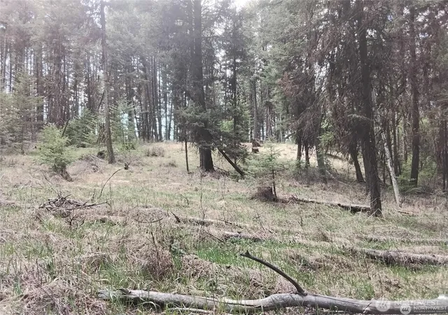 Photo 3 of Land for sale at 44 Trapline Loop Rd, Oroville, WA 98844 | MLS# NWM2505686 | Listing updated on 2026-09-21
