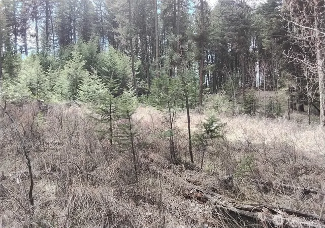 Photo 3 of Land for sale at 44 Trapline Loop Rd, Oroville, WA 98844 | MLS# NWM2505686 | Listing updated on 2026-09-21