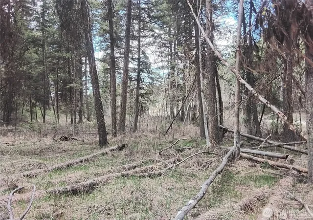 Photo 4 of Land for sale at 44 Trapline Loop Rd, Oroville, WA 98844 | MLS# NWM2505686 | Listing updated on 2026-09-21