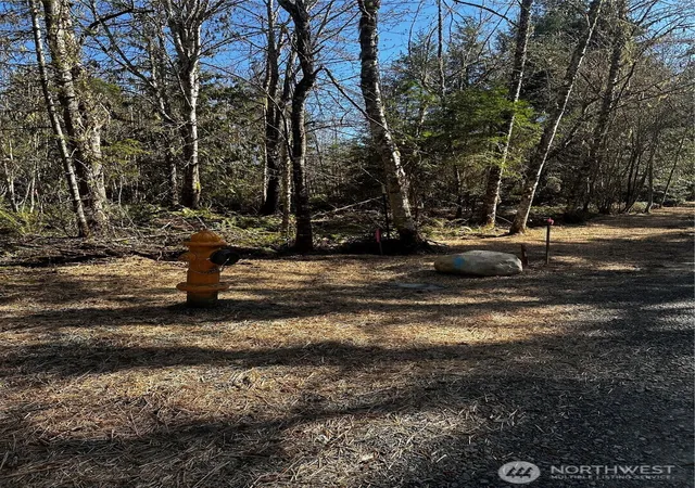 Photo 4 of Land for sale at 999 Lot 2 Robinson Rd, Port Angeles, WA 98362 | MLS# NWM2506019 | Listing updated on 2026-09-21