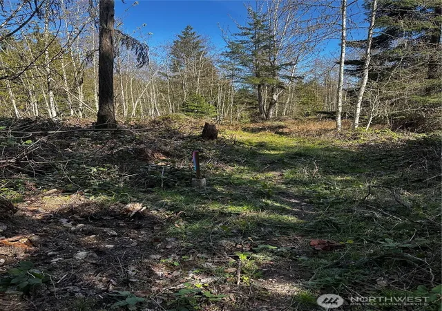 Photo 3 of Land for sale at 99 Lot 3 Robinson Rd, Port Angeles, WA 98362 | MLS# NWM2506026 | Listing updated on 2026-09-21