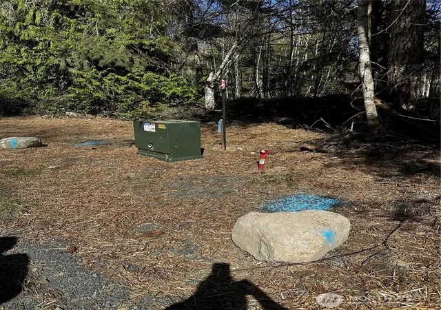 Photo 4 of Land for sale at 99 Lot 3 Robinson Rd, Port Angeles, WA 98362 | MLS# NWM2506026 | Listing updated on 2026-09-21