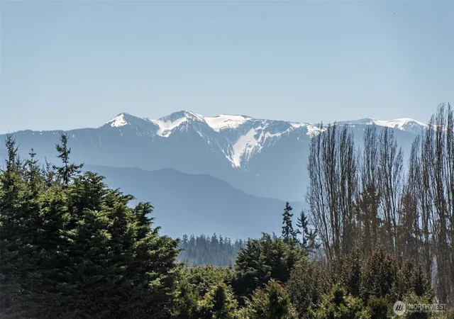 Photo 3 of Single family home for sale at 1688 Finn Hall Rd, Port Angeles, WA 98362 | MLS# NWM2506029 | Listing updated on 2026-09-21