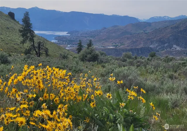 Photo 1 of Land for sale at 0 Coyote's Curv Rd, Orondo, WA 98843 | MLS# NWM2506153 | Listing updated on 2026-09-21