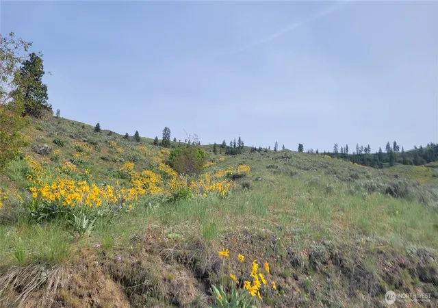 Photo 3 of Land for sale at 0 Coyote's Curv Rd, Orondo, WA 98843 | MLS# NWM2506153 | Listing updated on 2026-09-21