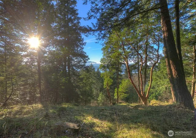 Photo 1 of Land for sale at 558 Buck Mt Rd, Eastsound, WA 98245 | MLS# NWM2506206 | Listing updated on 2026-09-21