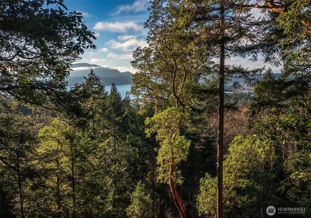 Photo 2 of Land for sale at 558 Buck Mt Rd, Eastsound, WA 98245 | MLS# NWM2506206 | Listing updated on 2026-09-21