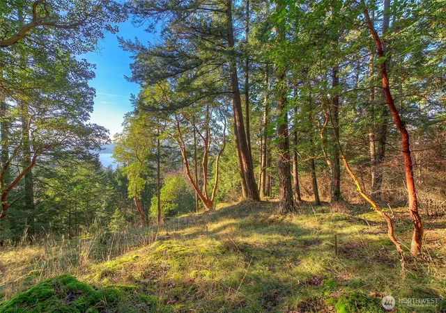 Photo 3 of Land for sale at 558 Buck Mt Rd, Eastsound, WA 98245 | MLS# NWM2506206 | Listing updated on 2026-09-21