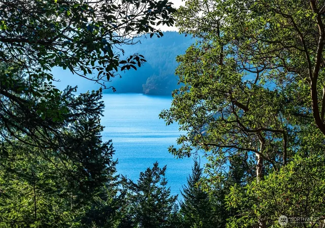 Photo 3 of Land for sale at 558 Buck Mt Rd, Eastsound, WA 98245 | MLS# NWM2506206 | Listing updated on 2026-09-21