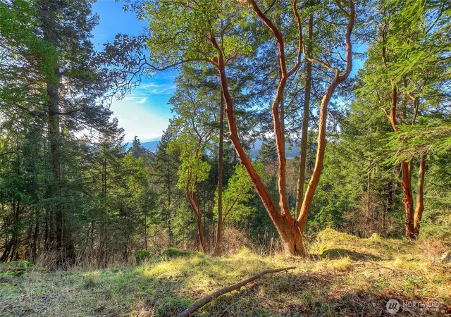 Photo 4 of Land for sale at 558 Buck Mt Rd, Eastsound, WA 98245 | MLS# NWM2506206 | Listing updated on 2026-09-21