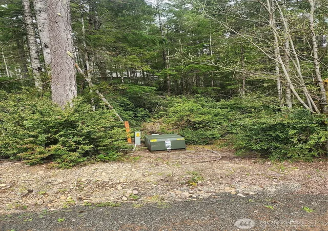 Photo 1 of Land for sale at 51 E Blackberry Ln, Union, WA 98592 | MLS# NWM2506270 | Listing updated on 2026-09-21