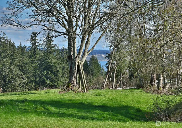 Photo 3 of Land for sale at 0 Panorama Dr, Freeland, WA 98249 | MLS# NWM2506318 | Listing updated on 2026-09-21