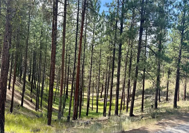Photo 2 of Land for sale at 98 Larkspur Dr, Winthrop, WA 98862 | MLS# NWM2506346 | Listing updated on 2026-09-29
