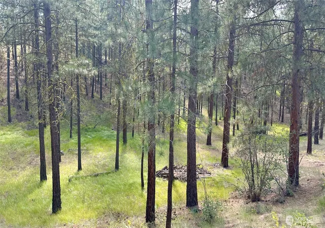Photo 3 of Land for sale at 98 Larkspur Dr, Winthrop, WA 98862 | MLS# NWM2506346 | Listing updated on 2026-09-29