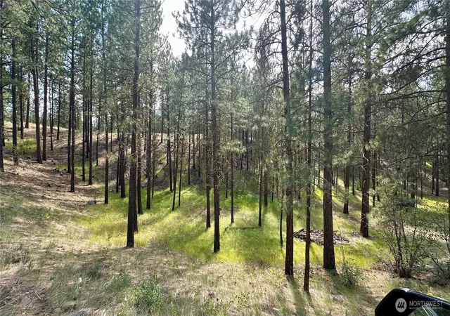 Photo 3 of Land for sale at 98 Larkspur Dr, Winthrop, WA 98862 | MLS# NWM2506346 | Listing updated on 2026-09-29
