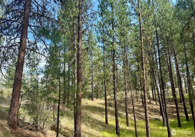 Photo 4 of Land for sale at 98 Larkspur Dr, Winthrop, WA 98862 | MLS# NWM2506346 | Listing updated on 2026-09-29