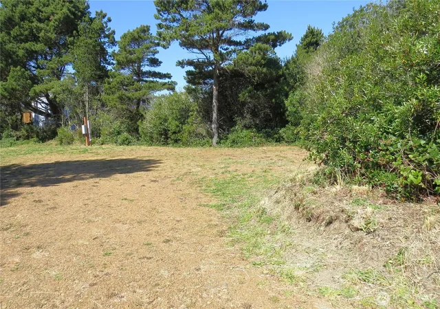 Photo 2 of Land for sale at 319 Sand Dune Ave Nw, Ocean Shores, WA 98569 | MLS# NWM2506543 | Listing updated on 2026-09-21