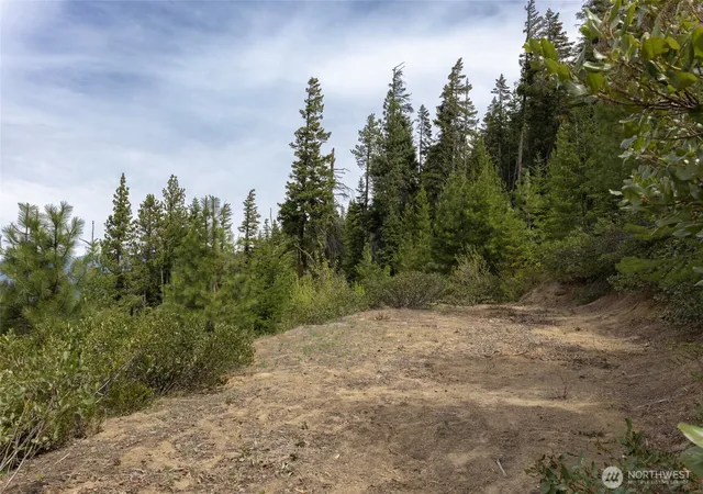 Photo 2 of Land for sale at 0 Forest Service 6601 550 Rd, Leavenworth, WA 98826 | MLS# NWM2506589 | Listing updated on 2026-09-21