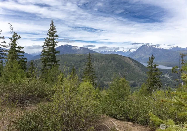 Photo 3 of Land for sale at 0 Forest Service 6601 550 Rd, Leavenworth, WA 98826 | MLS# NWM2506589 | Listing updated on 2026-09-21