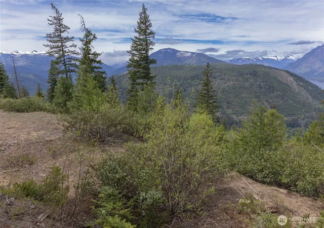 Photo 3 of Land for sale at 0 Forest Service 6601 550 Rd, Leavenworth, WA 98826 | MLS# NWM2506589 | Listing updated on 2026-09-21