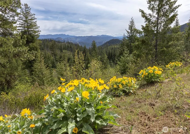 Photo 4 of Land for sale at 0 Forest Service 6601 550 Rd, Leavenworth, WA 98826 | MLS# NWM2506589 | Listing updated on 2026-09-21