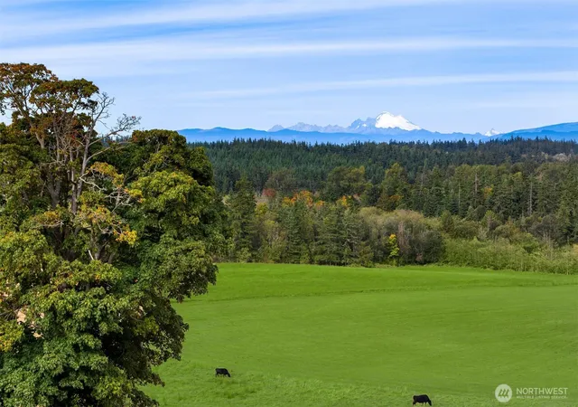 Photo 3 of Single family home for sale at 221 Baker View Ln, Camano Island, WA 98282 | MLS# NWM2506623 | Listing updated on 2026-09-27