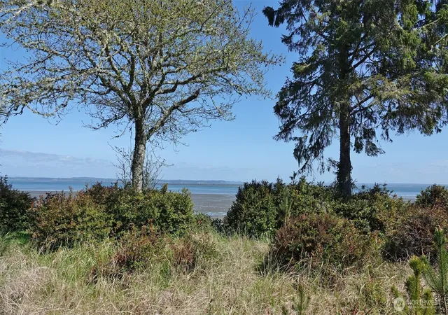 Photo 3 of Land for sale at 574 Chinook Ave SE, Ocean Shores, WA 98569 | MLS# NWM2506691 | Listing updated on 2026-09-21