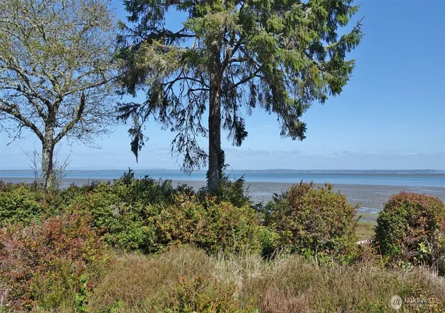 Photo 4 of Land for sale at 574 Chinook Ave SE, Ocean Shores, WA 98569 | MLS# NWM2506691 | Listing updated on 2026-09-21