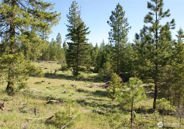 Photo 3 of Land for sale at 5 Sky Rd, Goldendale, WA 98620 | MLS# NWM2506797 | Listing updated on 2026-09-21
