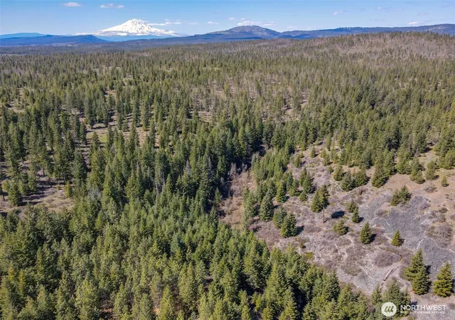 Photo 3 of Land for sale at 5 Sky Rd, Goldendale, WA 98620 | MLS# NWM2506797 | Listing updated on 2026-09-21